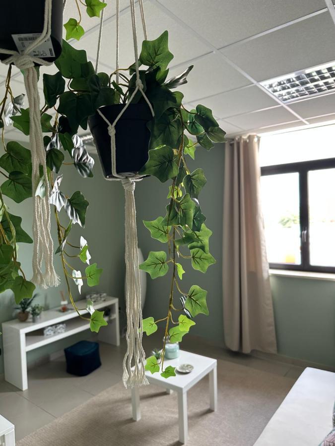 Botanical Suite Bari Esterno foto